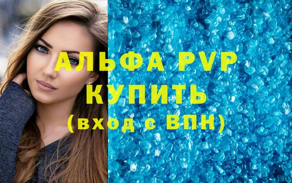 прущие грибы Осташков