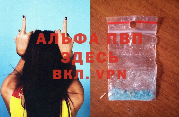 гидра Арсеньев