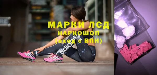 гидра Арсеньев