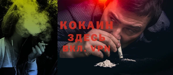 гидра Арсеньев