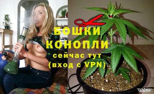 гидра Арсеньев