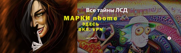 гидра Арсеньев